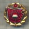 Y 519 INSIGNA - SZOCIALISTA BRIGAD - UNGARIA - PENTRU COLECTIONARI