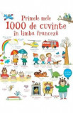 Primele mele 1000 de cuvinte in limba franceza - Mairi Mackinnon