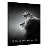 Tablou Canvas, Tablofy, Fear Is In The Mind, Printat Digital, 40 &times; 50 cm