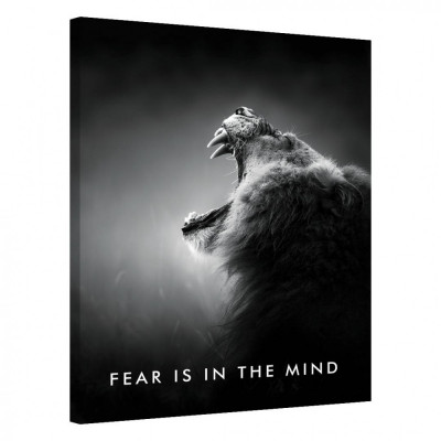 Tablou Canvas, Tablofy, Fear Is In The Mind, Printat Digital, 50 &amp;times; 70 cm foto