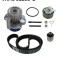 SKF VKMC 01250-1 Set pompa apa + curea dintata