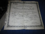 Diploma licenta in filosofie si litere spec istorie geografie an 1925 cp2