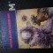 Roy fuller-insula pasiunilor