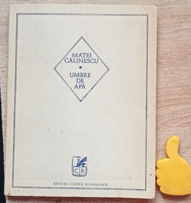 Umbre de apa Matei Calinescu foto