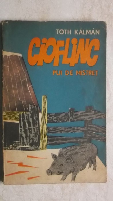 Toth Kalman - Cioflinc, pui de mistret