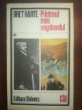 Prietenul meu vagabondul- Bret Harte