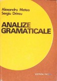 ANALIZE GRAMATICALE-ALEXANDRU METEA, SERGIU DRINCU-361886
