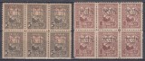 1917/1918 TIMBRE DE AJUTOR FISCAL/POSTALE SUPRATIPAR MVIR BLOCURI 6 TIMBRE MNH, Nestampilat