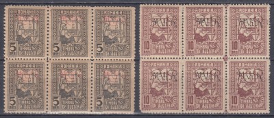 1917/1918 TIMBRE DE AJUTOR FISCAL/POSTALE SUPRATIPAR MVIR BLOCURI 6 TIMBRE MNH foto