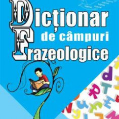 Dictionar de campuri frazeologice - Marin Buca, Mariana Cernicova