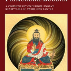 Voice of the Primordial Buddha: A Commentary on Dudjom Lingpa's Sharp Vajra of Awareness Tantra