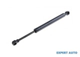 Amortizor haion Ford Focus (1998-2004) [DAW, DBW] #1