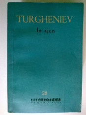 I. S. Turgheniev ? In ajun foto