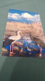 CARTE POSTALA MUZEUL MARAMURESAN -DIORAMA -MLASTINA NECIRCULATA