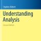 Understanding Analysis