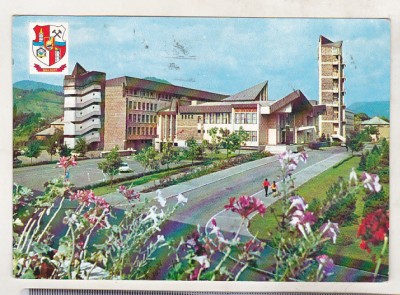 bnk cp Baia Mare - Palatul politico-administrativ - circulata foto