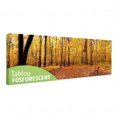 Tablou fosforescent Panorama de toamna foto