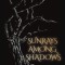 Sunrays Among Shadows
