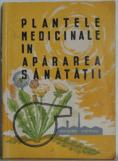 Plantele medicinale in apararea sanatatii, 1962, 119 pag. foto