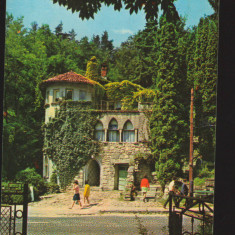 CPIB 19920 CARTE POSTALA - CALIMANESTI. VILA FLORILOR