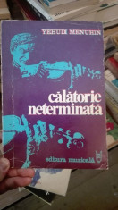 Calatorie neterminata &amp;amp;#8211; Yehudi Menuhin foto