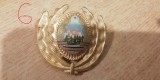 QW14 - Emblema militara / cuc - uscat - comunism - piesa de colectie