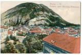 SV * Piatra Neamt * VEDERE INSPRE MUNTELE PIETRICICA * Anii '20