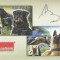 Romania, LP 2084/2015, Caini inteligenti, c.p.i. maxime in etui