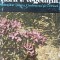 FLORA SI VEGETATIA MUNTILOR TARCU, GODEANU SI CERNEI-NICOLAE BOSCAIU-224836