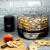 Deshidrator, uscator de alimente cu ecran digiral Led, 5 tavi inox, 350 W, control digital 35-68 &deg;C, Klausberg