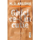 Ghici ce-i in cutie/M.J. Arlidge