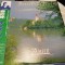 Vinil LP &quot;Japan Press&quot; Zamfir - Danse De La For&ecirc;t (-VG)