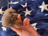 Căței de v&acirc;nzare, Neo