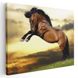 Tablou cal brun roscat (murg) la apus Tablou canvas pe panza CU RAMA 20x30 cm