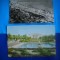 HOPCT LOT NR 271 EFORIE sud -CT -2 CARTI POSTALE-RPR-CIRCULATE