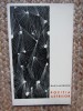 Dan Laurentiu &ndash; Pozitia astrilor ( volum debut ), Didactica si Pedagogica