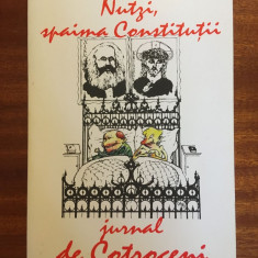 Ioan Grosan / Ion Barbu - NUTZI SPAIMA CONSTITUTII. JURNAL DE COTROCENI (1998)