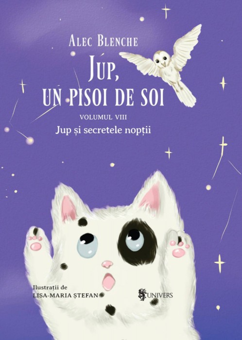 Jup, un pisoi de soi &ndash; volumul VIII &ndash; Jup si secretele noptii