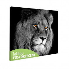 Tablou fosforescent canvas Lion Head foto