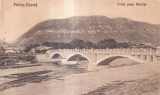 Piatra-Neamt. Podul peste Bistrita (1926, necirculata)