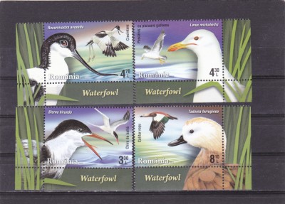 ROMANIA 2015 - PASARI DE BALTA - CU TABS IN LIMBA ENGLEZA, MNH - LP 2076 foto