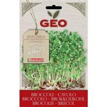 Seminte de Germinare Bio Broccoli Geo 13gr Cod: vcb0503 foto