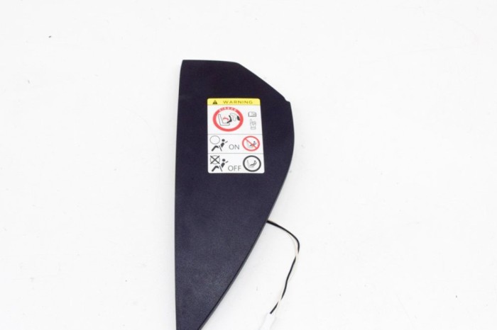 Ornament lateral planșa de bord TESLA MODEL S 2016 OEM: 1028359-00-A 13931102