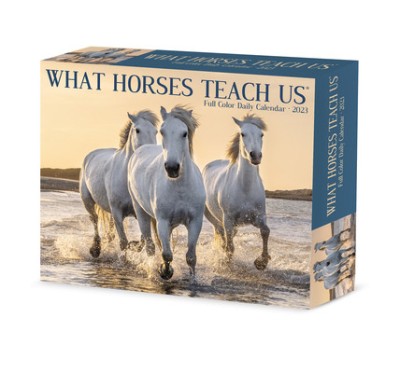 What Horses Teach Us 2023 Box Calendar foto
