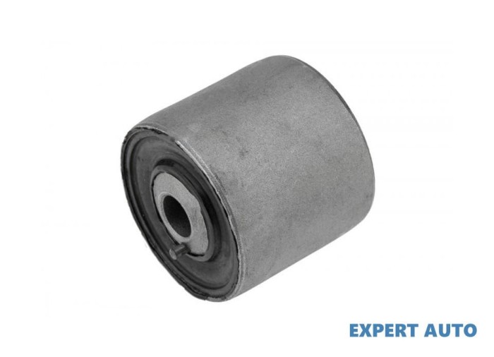 Bucsa brat Mercedes R-Class (2005-&gt;) [W251 , V251] #1