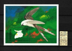 Timbre Caraibe, Grenada, 1991| Fluturi, insecte - Păsări | Coliţă - MNH | aph