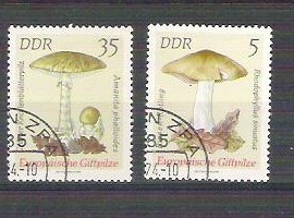 DDR Germany 1974 Mushrooms G.023 foto