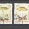 DDR Germany 1974 Mushrooms G.023