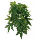 Plantă de terariu Abutilon - agăţabilă 20 x 30 cm, Trixie