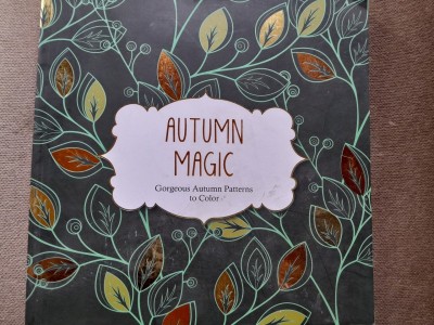 Autumn Magic: Gorgeous Autumn Patterns to Color (Color Magic) foto